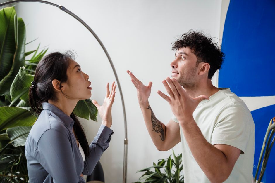 the-image-is-used-to-describe-stress-response-during-conflict